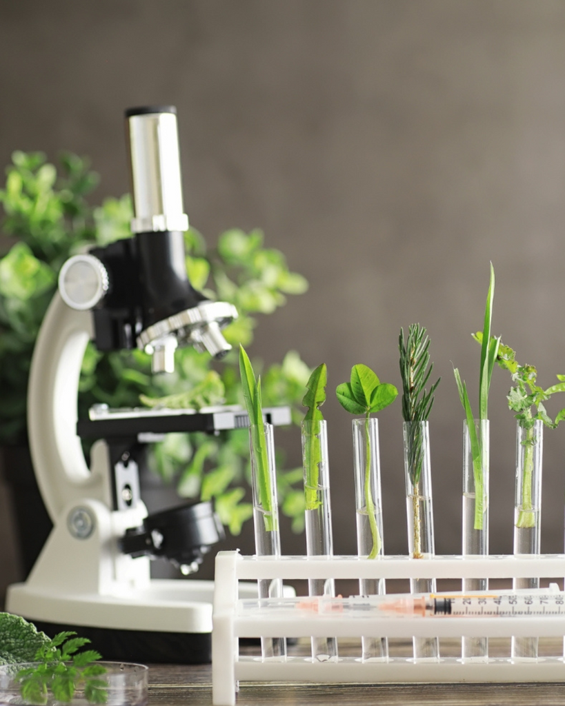 Peut-on allier efficacité et naturel ? La réponse de Nyssi