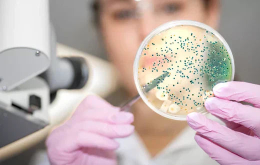 Le Microbiome : La Clé de l'Équilibre Cutané